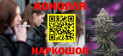 прущие крисы Тула